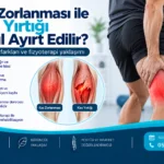 Kas Zorlanması ile Kas Yırtığı Nasıl Ayırt Edilir? için anatomik ve fizyoterapi odaklı kapak görseli
