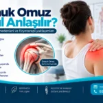 Donuk Omuz Nasıl Anlaşılır? İlk Belirtileri Nelerdir? için anatomik görsel ve fizyoterapi değerlendirmesi