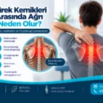 Kürek Kemikleri Arasında Ağrı Neden Olur? için anatomik görsel ve fizyoterapi değerlendirmesi