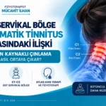 Atlas Axis Terapi ve somatik tinnitus ilişkisini gösteren C1-C2 üst servikal bölge görseli