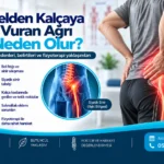 Belden kalçaya vuran ağrıda bel ve kalça bölgesinin fizyoterapi değerlendirmesi