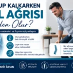 Oturup Kalkarken Bel Ağrısı Neden Olur? için anatomik ve fizyoterapi odaklı kapak görseli