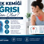 Kürek kemiği ağrısı yaşayan kişide skapula ve çevre kasları gösteren fizyoterapi görseli
